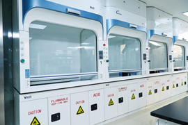 ����(l��)����I(y��)���F(tu��n)