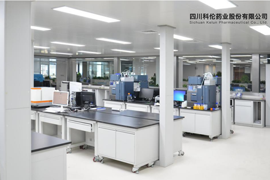 �Ĵ��Ƃ�ˎ�I(y��)�ɷ����޹�˾